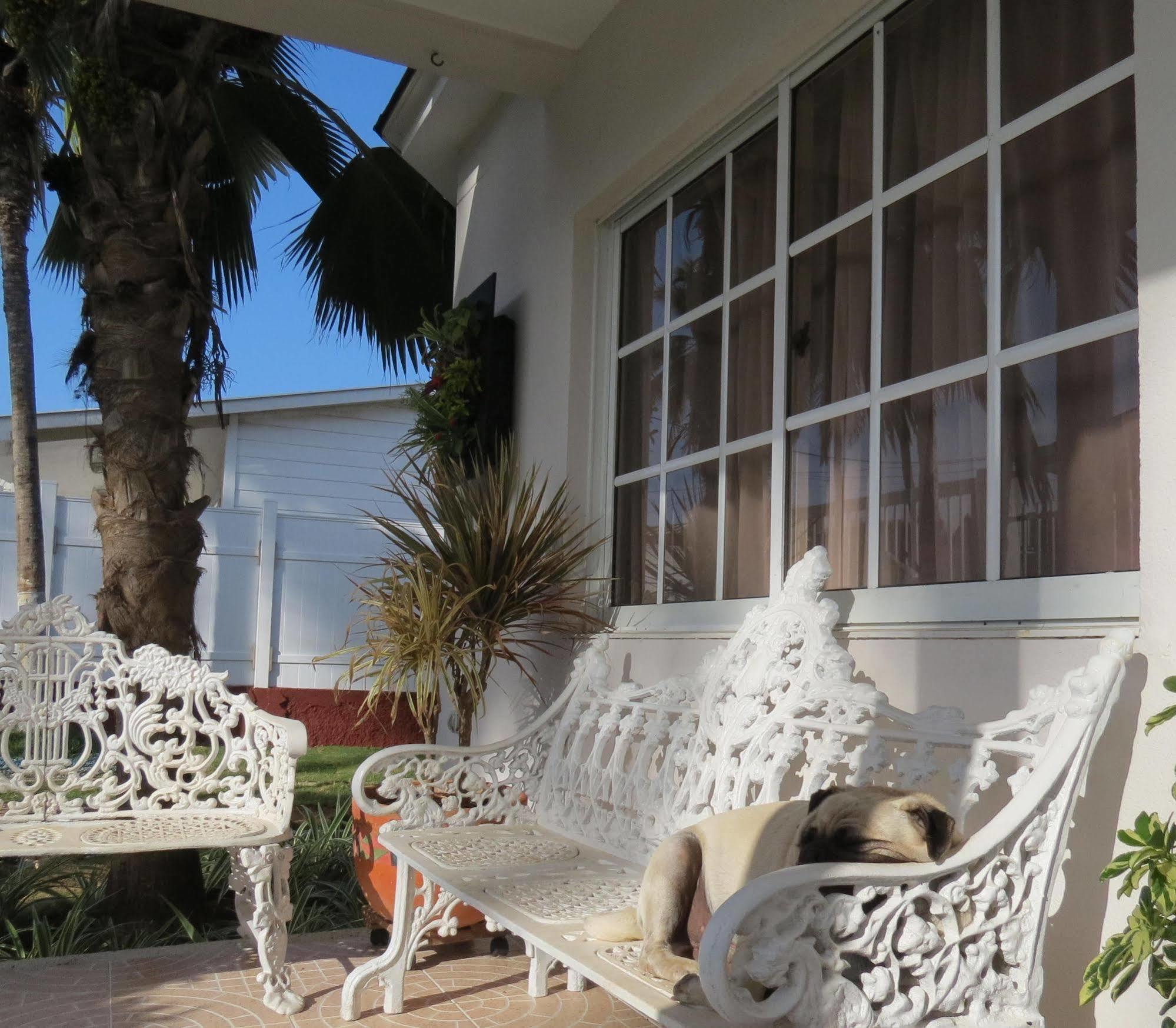 Hostal Mar Y Mar San Andrés Екстериор снимка